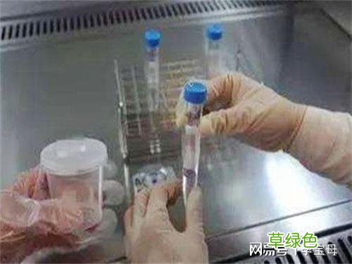 人工受孕成功率有多大 人工受孕成功