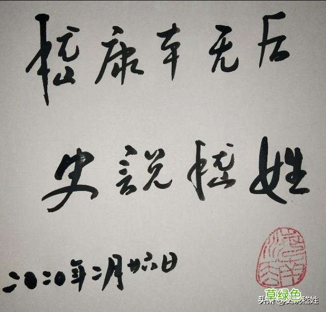 历史大揭秘2：嵇康本无后，嵇姓最早记载《三国志》，本源奚姓 姓嵇怎么读