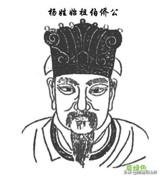 两个人都姓杨能结婚吗? 姓杨的人怎么样