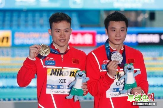 中国跳水队公布东京奥运名单 老带新共捍梦之队荣耀 取名曹什么涵