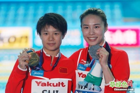 中国跳水队公布东京奥运名单 老带新共捍梦之队荣耀 取名曹什么涵