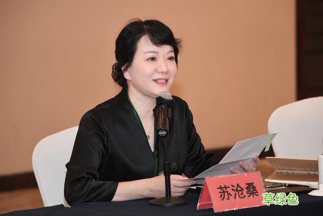苏沧桑《纸上》：那些正在逝去但又鲜活的民间手艺 古代伤字怎么写