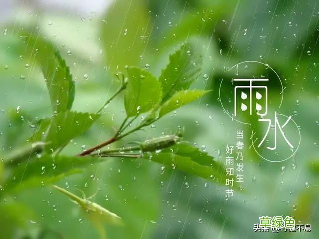 沾衣欲湿杏花雨：十二首著名的春雨诗词，展示大诗人的雨中情 姓雨的名字