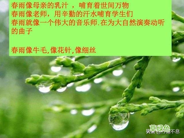 沾衣欲湿杏花雨：十二首著名的春雨诗词，展示大诗人的雨中情 姓雨的名字