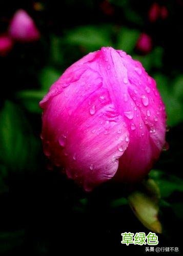 沾衣欲湿杏花雨：十二首著名的春雨诗词，展示大诗人的雨中情 姓雨的名字