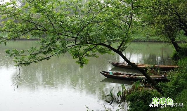 沾衣欲湿杏花雨：十二首著名的春雨诗词，展示大诗人的雨中情 姓雨的名字