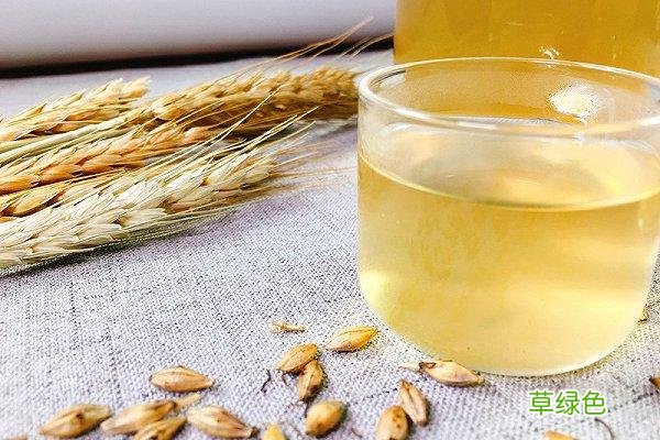 炒麦芽的功效与作用 麦芽的功效与作用