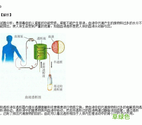 尿毒症一般多久做一次透析 尿毒症透析费用