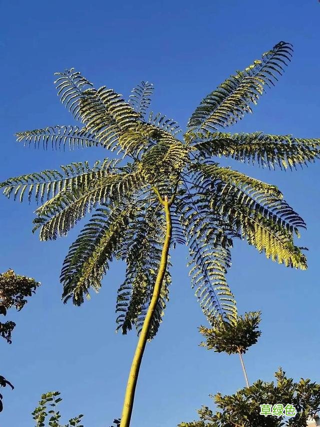 高清！美爆了！厦门必到打卡地太火了，来和婧如一起 婧字怎么写