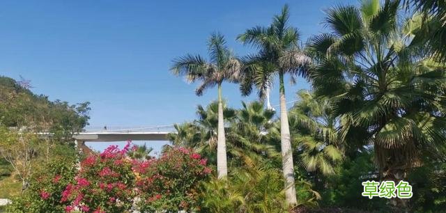 高清！美爆了！厦门必到打卡地太火了，来和婧如一起 婧字怎么写