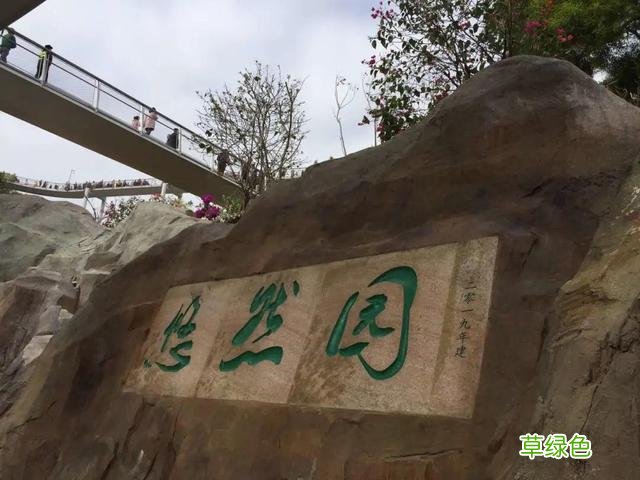 高清！美爆了！厦门必到打卡地太火了，来和婧如一起 婧字怎么写