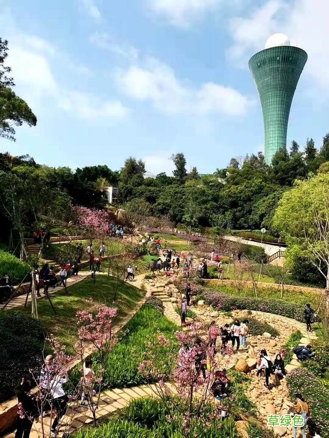 高清！美爆了！厦门必到打卡地太火了，来和婧如一起 婧字怎么写