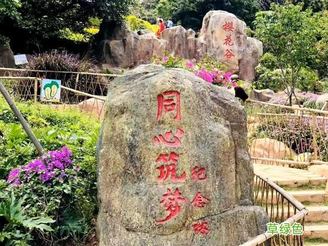 高清！美爆了！厦门必到打卡地太火了，来和婧如一起 婧字怎么写