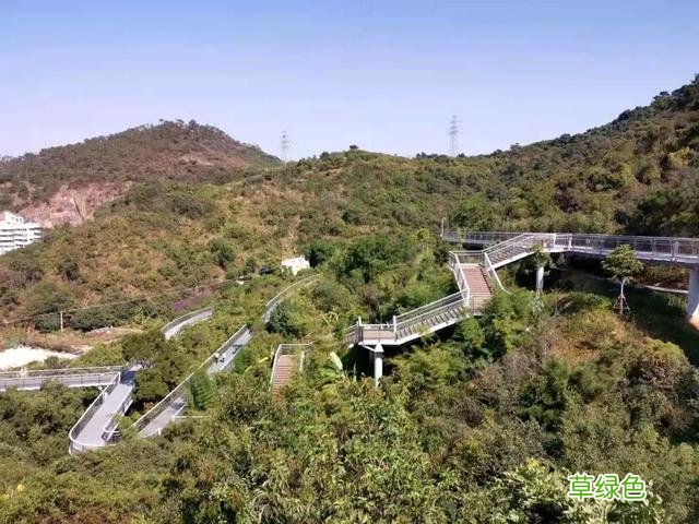 高清！美爆了！厦门必到打卡地太火了，来和婧如一起 婧字怎么写