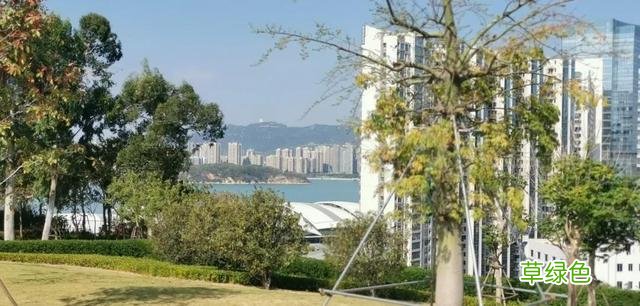 高清！美爆了！厦门必到打卡地太火了，来和婧如一起 婧字怎么写