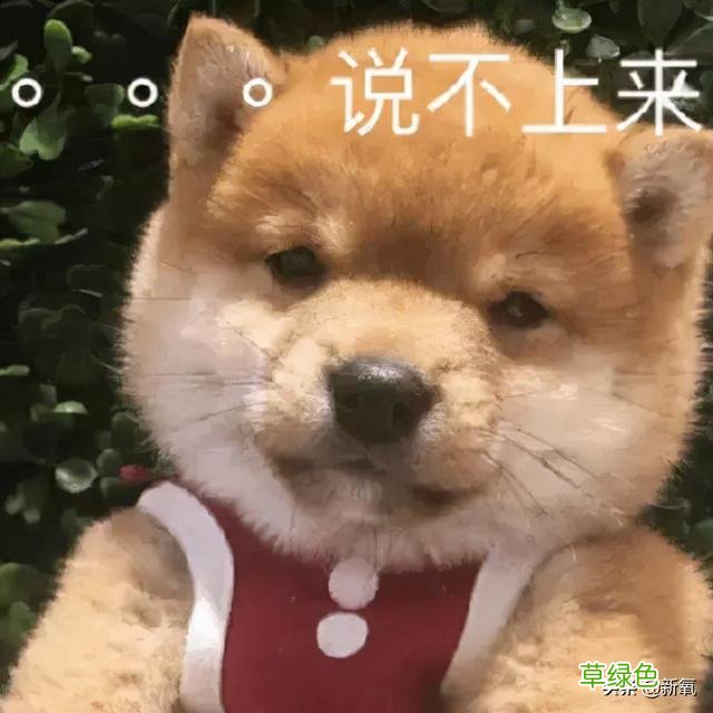 被普信男PUA还教育网友守女德？恋爱脑美女醒醒吧… 媚怎么做微信名