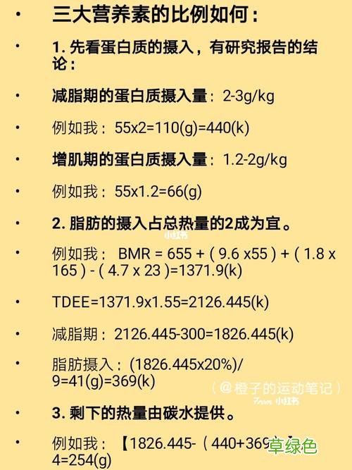 每日所需热量计算公式 热量计算公式