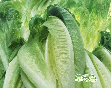 生菜的功效与作用及副作用 生菜的功效与作用
