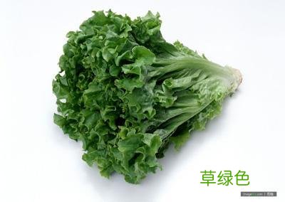 生菜的营养价值 生菜的营养价值