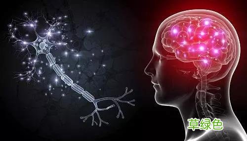 脑垂体功能紊乱的症状 脑垂体功能低下