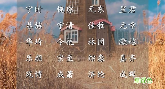 皓月方来的男子名字，浩气凌云，逾山越海 向什么取名