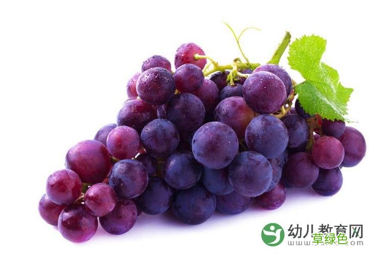 葡萄要怎么洗才能洗干净 葡萄怎么洗干净