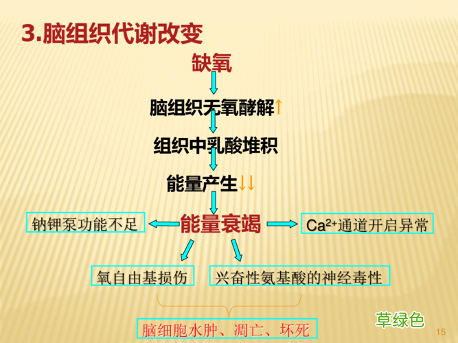 缺氧缺血性脑病 缺氧缺血性脑病