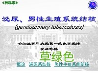 治男性泌尿系统感染 泌尿生殖道感染