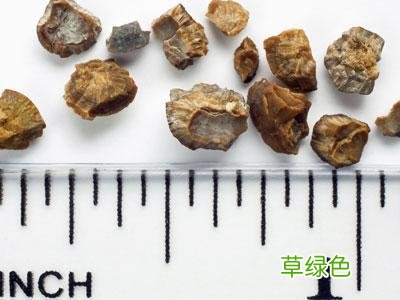 尿结石禁止吃什么食物 尿结石不能吃什么