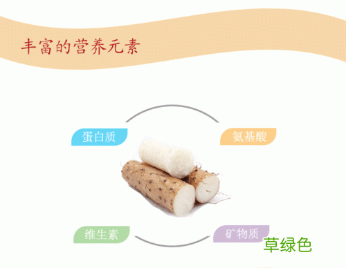 山药的药用价值 山药的营养价值