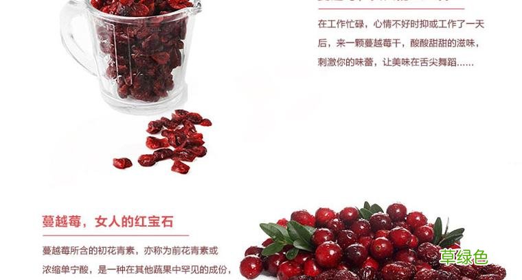 蔓越莓功效和作用蔓越莓长什么样 蔓越莓功效和作用