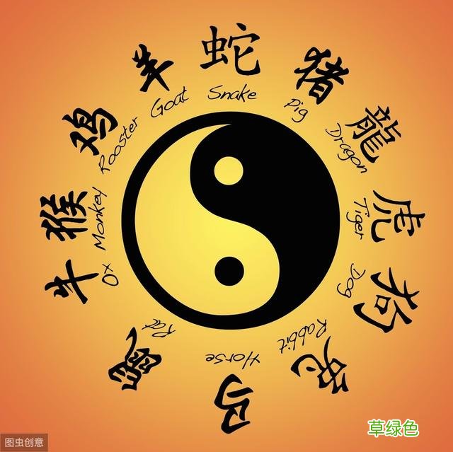 干支阴阳划分是将天干系统与地支系统先分开后再进行划分的 己食神是什么