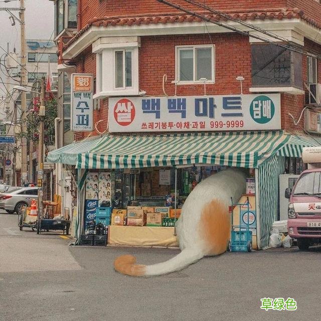 带字个性朋友圈背景图合集 带什么个性