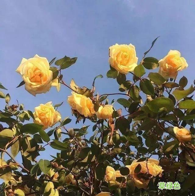 带字个性朋友圈背景图合集 带什么个性