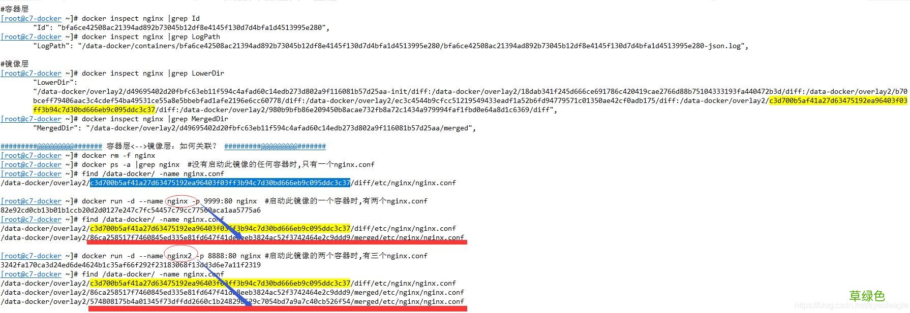 docker 文件存放路径, 修改端口映射操作方式