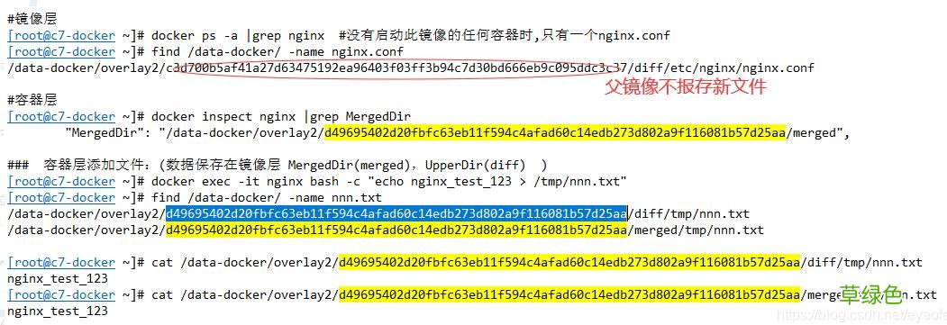 docker 文件存放路径, 修改端口映射操作方式