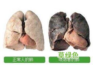 如何戒烟最有效的办法 如何戒烟最有效
