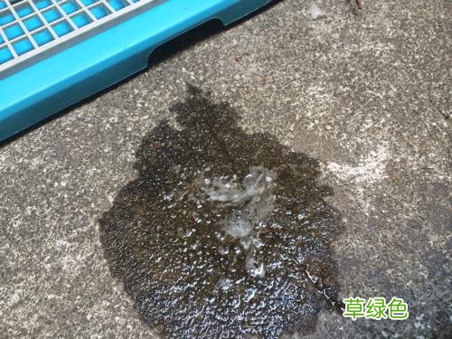 尿道口有白色分泌物是什么 尿口流白色液体