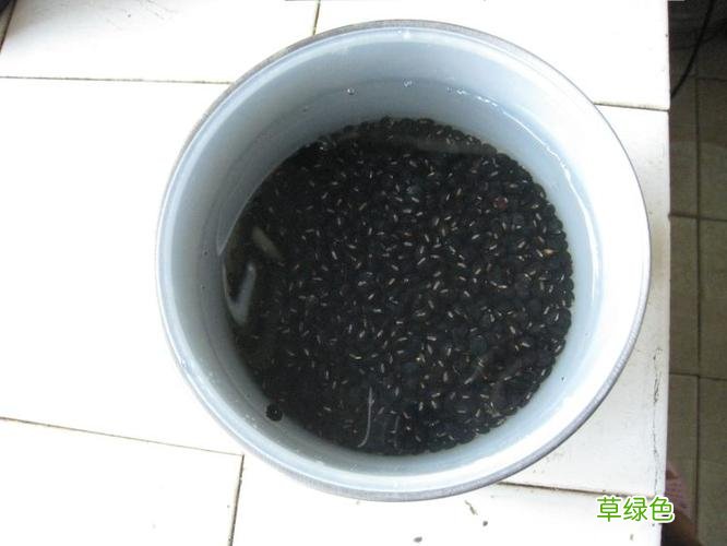 醋泡黑豆的正确做法 醋泡黑豆怎么吃
