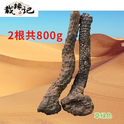 阿拉善的苁蓉多少钱一斤 阿拉善肉苁蓉