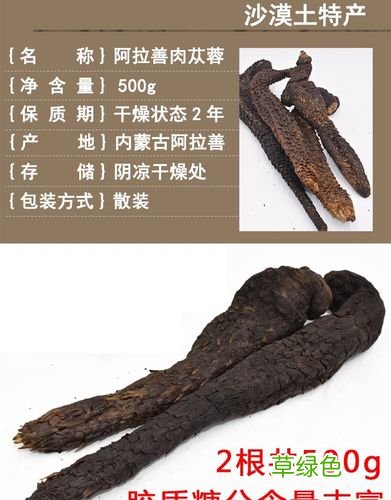 阿拉善的苁蓉多少钱一斤 阿拉善肉苁蓉