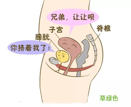 男性尿失禁的治疗 尿失禁的治疗