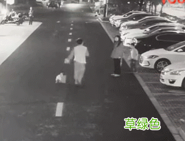 男子持棍殴打老母亲 母亲遭陌生男殴打