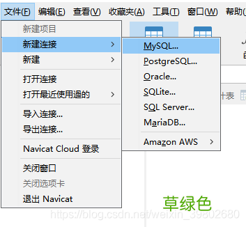 Navicat 连接服务器端中的docker数据库的方法