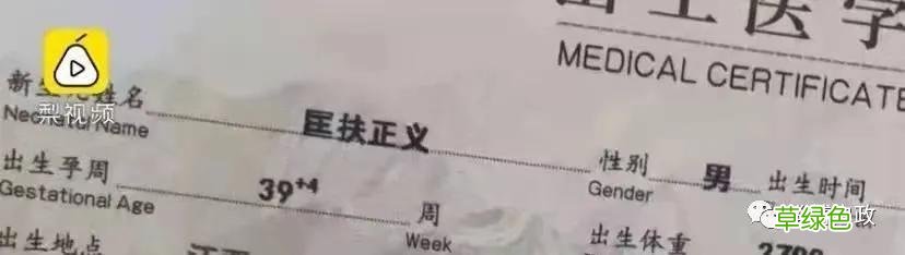 2021新生儿爆款姓名出炉 虎宝宝们要“避雷”了！ 名字超创意