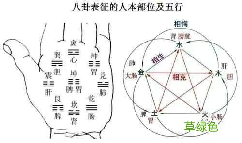 每天几分钟，这样学习易经，实在太简单了，0基础也可以学得会 怎么占卦