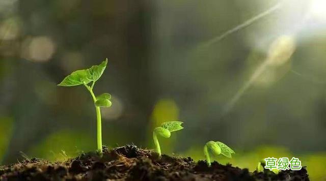 每天几分钟，这样学习易经，实在太简单了，0基础也可以学得会 怎么占卦