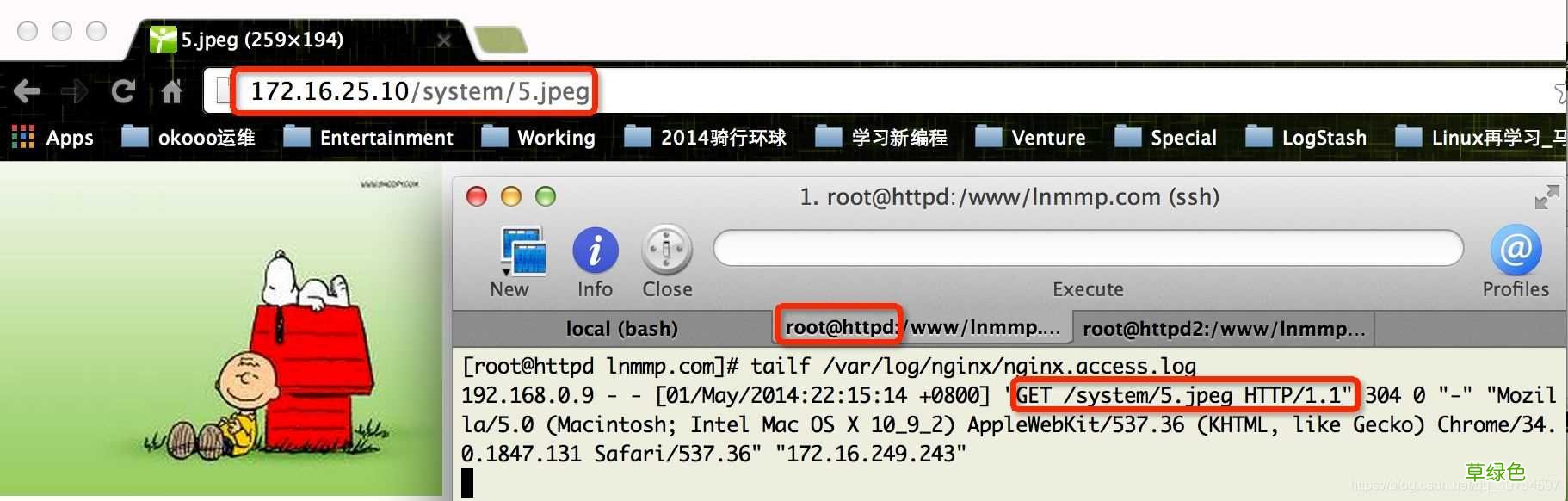 Keepalived+Haproxy+Nginx Nginx实现高可用集群构建