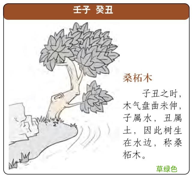 戊戌辛酉壬子乙巳日课解析：金白水清、化显归元 壬子日是什么