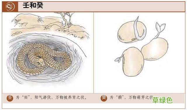 戊戌辛酉壬子乙巳日课解析：金白水清、化显归元 壬子日是什么